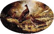 Grouse Family